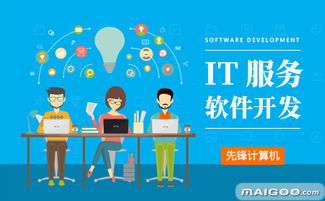 先鋒IT軟件與外包服務(wù)全面解析——十大品牌網(wǎng)推薦